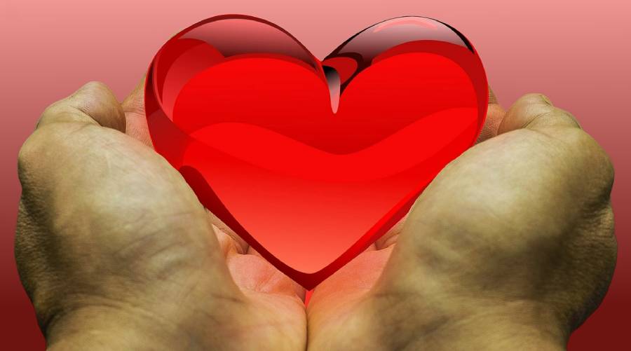 Understanding Eligibility: Who Can Become a Whole Body Donor?