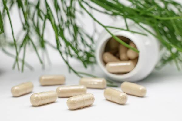 Ayurvedic PCD Company is Supporting the Growing Demand for Trusted Herbal Healthcare